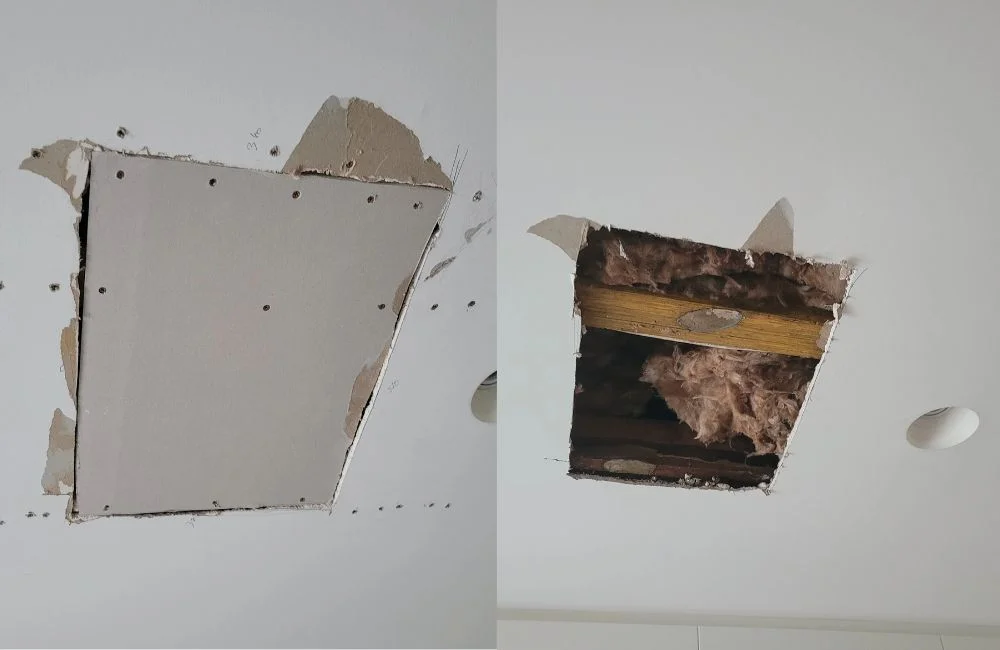 QPS beofre and after paint